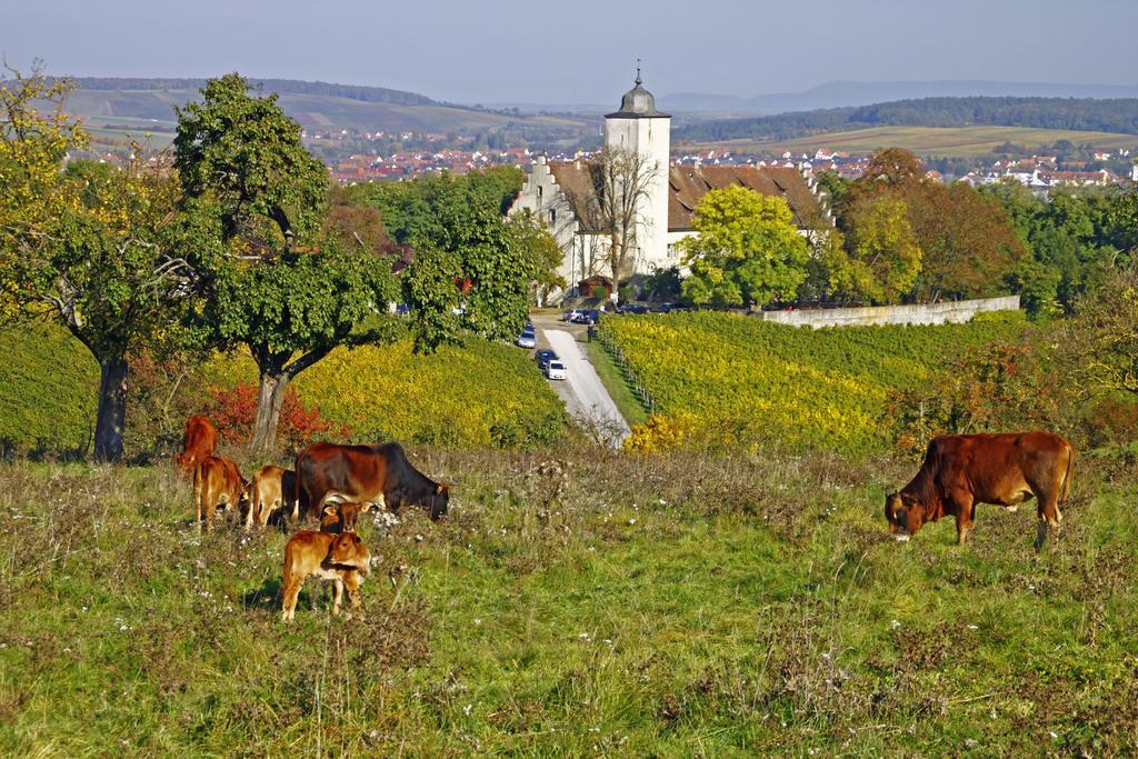 Flair-Hotel Zum Benediktiner Шварцах-ам-Майн Экстерьер фото